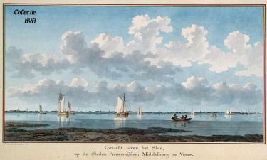 Aquarel door J. Arends (1783). (Zelandia Illustrata). Aquarel door J. Arends (1783). (Zelandia Illustrata).