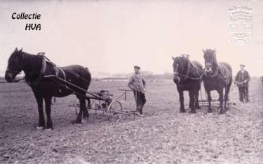 Een prachtige foto ter herinnering aan de vroegere landlieden rondom Arnemuiden. Zij bewerkten het land met de ouderwetse ploeg en eg, getrokken door de Zeeuwse trekpaarden. Een prachtige foto ter herinnering aan de vroegere landlieden rondom Arnemuiden. Zij bewerkten het land met de ouderwetse ploeg en eg, getrokken door de Zeeuwse trekpaarden.