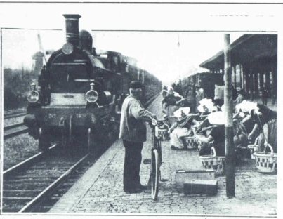 Visleursters uit Arnemuiden wachtend op de stoomtrein Visleursters uit Arnemuiden wachtend op de stoomtrein