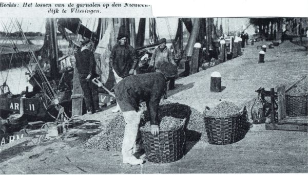 Het lossen van de garnalen op de Nieuwendijk te Vlissingen. Het lossen van de garnalen op de Nieuwendijk te Vlissingen.