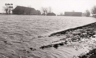 Ook de Oranjepolder stroomt onder. De boerderij van de familie Joh. Crucq slaat rondom in het water. Op de vroege zondagmorgen komen ze met hun have op de Markt aan. Een onvergetelijk gebeuren de loeiende koeien op die sombere morgen op de Markt. Ook de Oranjepolder stroomt onder. De boerderij van de familie Joh. Crucq slaat rondom in het water. Op de vroege zondagmorgen komen ze met hun have op de Markt aan. Een onvergetelijk gebeuren de loeiende koeien op die sombere morgen op de Markt.