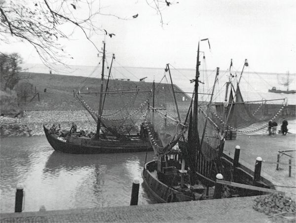 De Arnemuidse vissersvloot te Veere in de vijftiger jaren. (Uit collectie Jhr. W.L. den Beer Poortugael, Veere). De Arnemuidse vissersvloot te Veere in de vijftiger jaren. (Uit collectie Jhr. W.L. den Beer Poortugael, Veere).