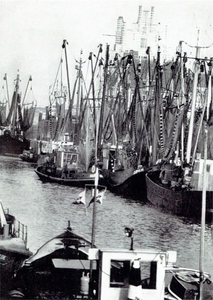 De Arnemuidse vissersvloot in de haven van Veere. De Arnemuidse vissersvloot in de haven van Veere.