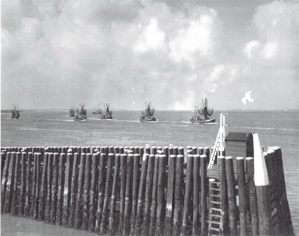 De vloot vaart uit. Het wordt een goed garnalenjaar: dubbel zoveel garnalen als in 1957. (Uit collectie Jhr. W.L. den Beer Poortugael, Veere). De vloot vaart uit. Het wordt een goed garnalenjaar: dubbel zoveel garnalen als in 1957. (Uit collectie Jhr. W.L. den Beer Poortugael, Veere).