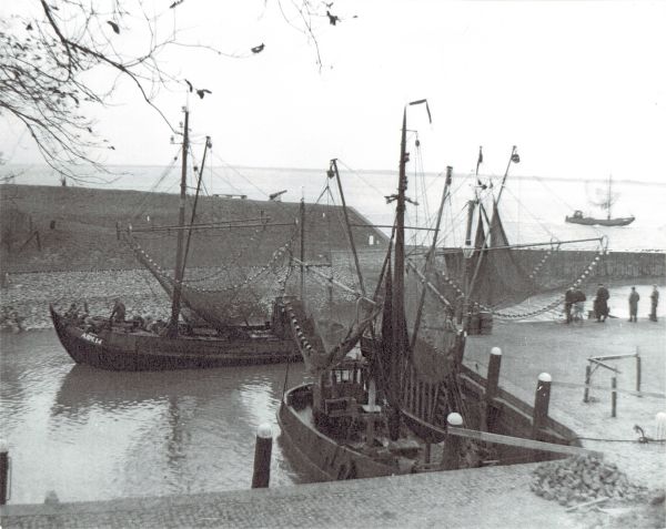 De oude vissersschuiten, zo'n vertrouwd beeld aan de kade van Veere, zullen plaats moeten maken voor sterkere schepen die vanuit Colijnsplaat gaan vissen. (Uit collectie Jhr. W.L. den Beer Poortugael, Veere). De oude vissersschuiten, zo'n vertrouwd beeld aan de kade van Veere, zullen plaats moeten maken voor sterkere schepen die vanuit Colijnsplaat gaan vissen. (Uit collectie Jhr. W.L. den Beer Poortugael, Veere).