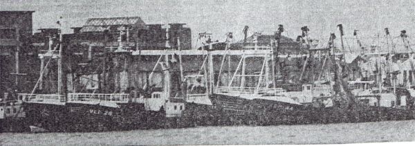 De Arnemuidse vissers willen alleen over Vlissingen als centrale vissershaven praten. De Arnemuidse vissers willen alleen over Vlissingen als centrale vissershaven praten.