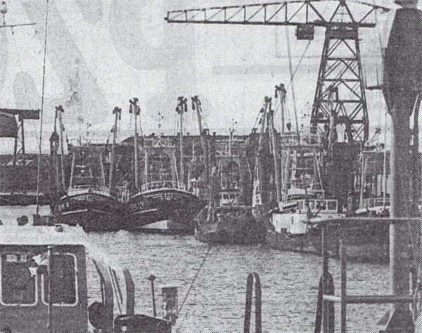Drukte aan de vismijn in Vlissingen in 1980. Drukte aan de vismijn in Vlissingen in 1980.