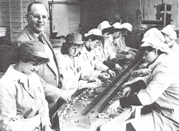 In de mosselconservenfabriek in het Tuindorp. Hier directeur Manneke tussen de werknemers. In de mosselconservenfabriek in het Tuindorp. Hier directeur Manneke tussen de werknemers.